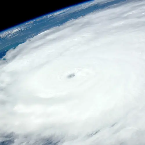 Alans Hurricane Prevention 